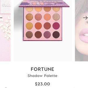 fortune eyeshadow palette